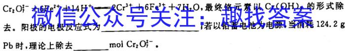 中考模拟猜押系列 2023年河北省中考适应性模拟检测(预测二)化学