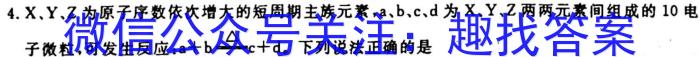 安徽第一卷·2024-2023学年安徽省七年级教学质量检测(八)化学
