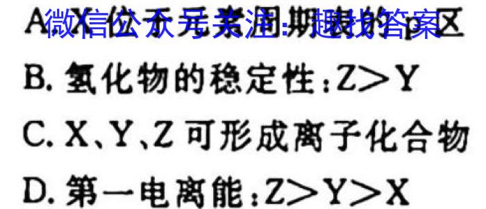 安徽第一卷·2024-2023学年安徽省七年级教学质量检测(八)化学