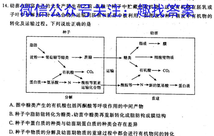 天一大联考·皖豫名校联盟2022-2023学年(下)高一年级阶段性测试(四)生物