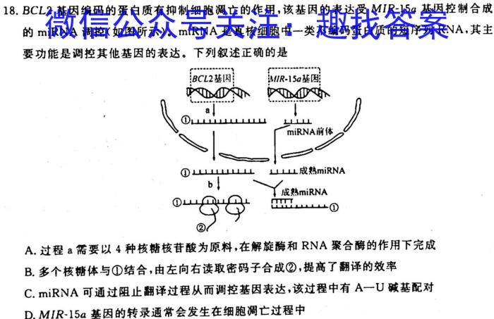 南阳一中2023年春期高二年级第四次月考生物