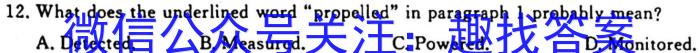 2023年高考冲刺模拟试卷(八)英语