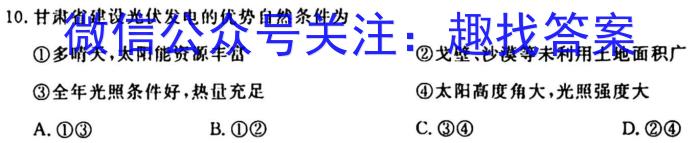 巢湖四中2022~2023年度高一下学期期末考试(231813Z)政治试卷d答案