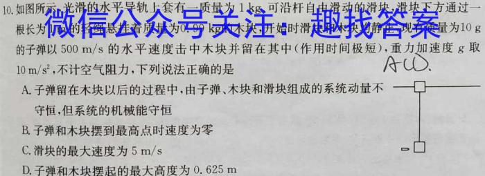 炎德英才 名校联考联合体2023年春季高二期末联考暨新高三适应性联合考试(6月)l物理