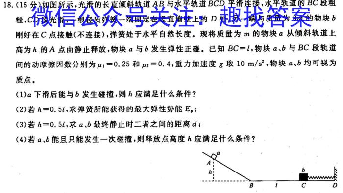 河北省高二2024-2023学年下学期科学素养评估(期末)(23716B)q物理