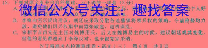 德化县2022-2023学年度九年级下学期期中综合评估(23-CZ185c)语文