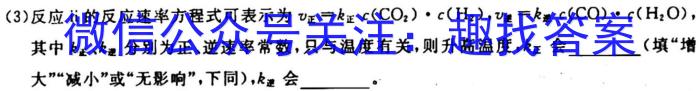 2023年河北省初中毕业生升学文化课考试 中考母题密卷(三)化学