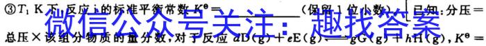 湖南省2023年上学期高一期末化学