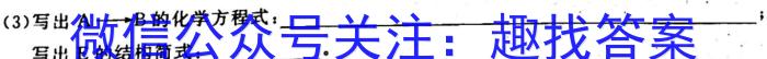 天一大联考·皖豫名校联盟2024-2023学年(下)高一年级阶段性测试(期末)化学