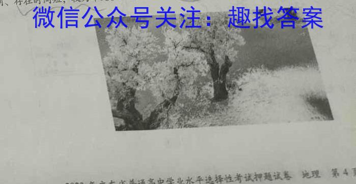 乌鲁木齐市第四中学2024-2023学年度下学期高一年级阶段性诊断测试q地理