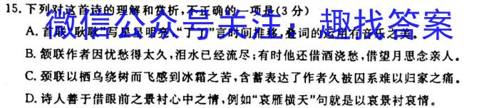 安徽省合肥八中2023届保温卷(5月)语文