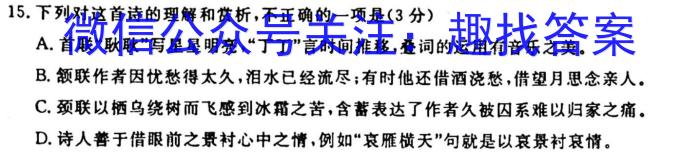 河北省2022-2023学年高二下学期期末调研考试(23-558B)语文