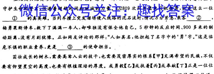 楚雄州中小学2022~2023学年高中二年级下学期期末教育学业质量监测(23-515B)语文