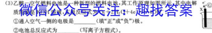 安徽省滁州市凤阳县2022-2023学年七年级第二学期期末教学质量监测化学