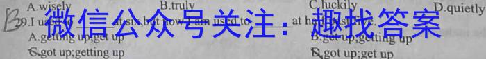 九师联盟 2024-2023学年高一洛阳强基联盟5月联考英语