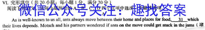 河南省2023年春季学期高二年级7月质量检测英语试题