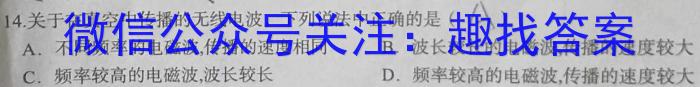 安徽省2023年初中学业水平考试临考调研检测（5月）q物理