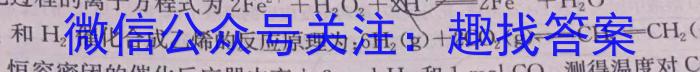 2023年陕西省初中学业水平考试全仿真卷(F)化学