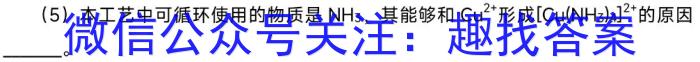 2023年江西省初中学业水平考试 定心卷化学