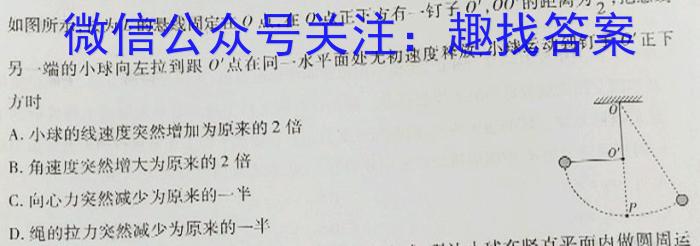 2023年高考冲刺模拟试卷(八)l物理