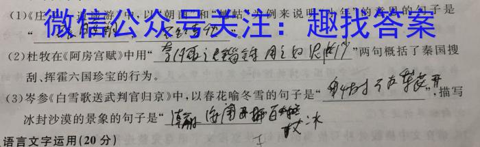 江西省2023年高一质量检测联合调考（23-504A）语文