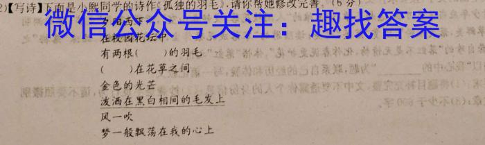 2023届陕西省九年级最新中考冲刺卷(标识■)语文