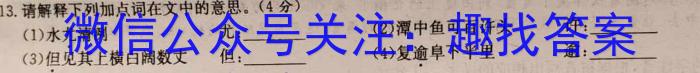 安师联盟 2023年中考安心卷语文