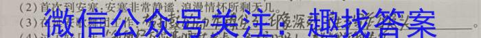 2023届全国百万联考高三5月联考(531C)语文