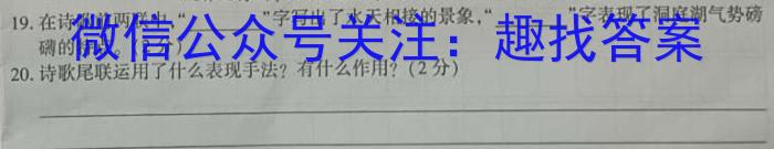 耀正文化(湖南四大名校联合编审)·2023届名校名师模拟卷(九)9语文