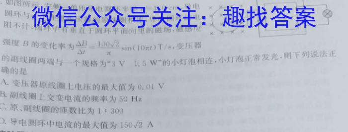 耀正文化(湖南四大名校联合编审)·2023届名校名师模拟卷(九)9物理`