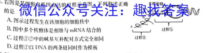 河南省许昌市XCS2022-2023学年八年级第二学期期末教学质量检测生物