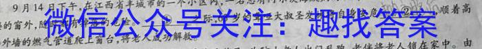 河南省2023年春期高中二年级期终质量评估语文
