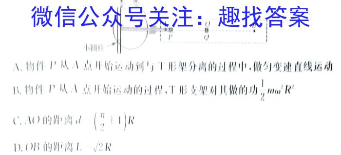 卓育云·2022-2023中考学科素养自主测评卷(八)l物理