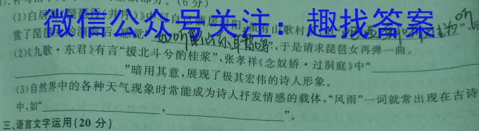 德化县2022-2023学年度九年级下学期期中综合评估(23-CZ185c)语文