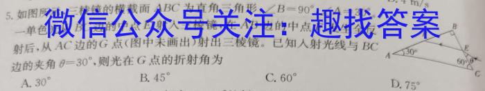 安徽省2024-2023学年度八年级第二学期期末质量检测(23-CZ226b)q物理