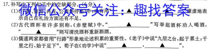 2023届河南省高三年级5月联考（6001C·HEN）语文