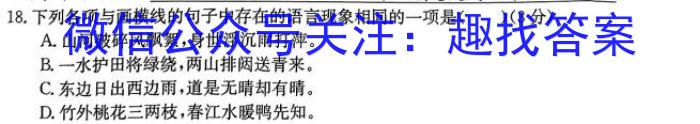 天一大联考·2023年普通高等学校招生考前专家预测卷语文