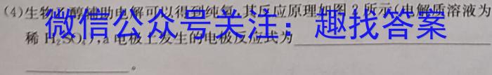 安徽省六安市金寨县2022-2023学年度七年级第二学期期末质量监测化学