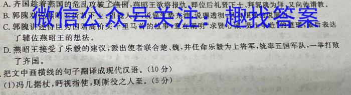 非凡吉创 2022 -2023下学年高三年级TOP二十名校猜题大联考(233623D)(二)语文