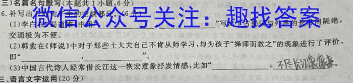 圆创联盟 湖北省高中名校联盟2022~2023学年度下学期高二联合测评语文