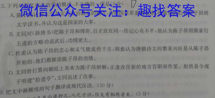 伯乐马 2023年普通高等学校招生新高考模拟考试(九)语文