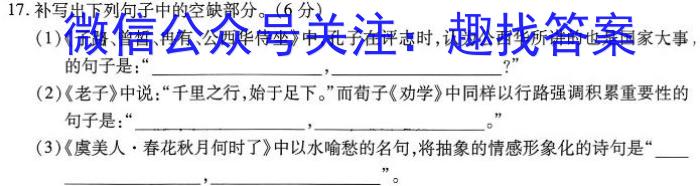 安徽省2022~2023学年度高二第二学期庐阳高级中学期末测试(232827Z)语文