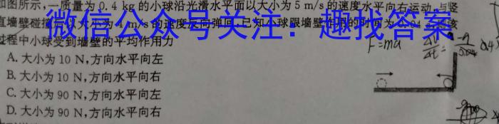 河南省2023年春期九年级调研测试(三)3物理`