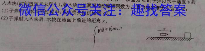 耀正文化(湖南四大名校联合编审)·2023届名校名师测评卷(九)9物理`