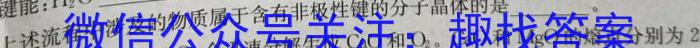 安徽省毫州市蒙城县2022-2023学年度七年级第二学期义务教育教学质量检测化学