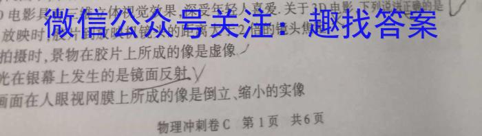 2023年金安高三年级适应性考试卷(23-485C)h物理