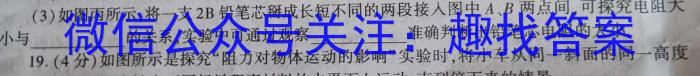 2023年陕西省初中学业水平考试信息卷(C)物理`