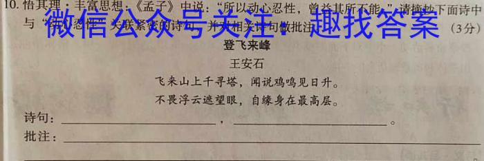 2023-2024衡水金卷先享题高三一轮复习周测卷/语文3文言文阅读3语文