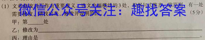 天一大联考 2023年九年级考前定位考试语文