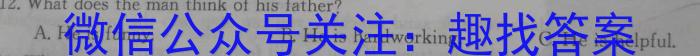 天一大联考皖豫名校联盟2022-2023学年(下)高二年级阶段性测试(四)英语